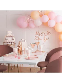 Ginger Ray HN-837 Blush Hen Arc De Ballon