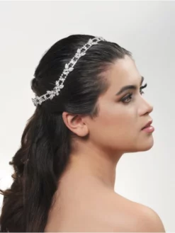 Poirier BB-668 Diadème