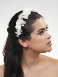 Poirier BB-669 Diadème