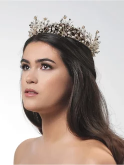 Poirier BB-672 Diadème