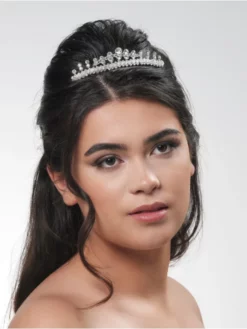 Poirier BB-730 Peigne à Cheveux