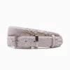 Paulo Bellini Anaconda Ceinture Homme Taupe