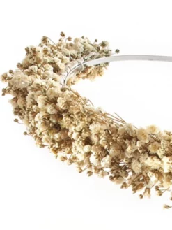 Poirier BB-622 Fleurs Diadème -BEAUTIFUL BRIDE SHOP Ventes poirier bb 622 tiara 4