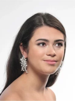 Poirier NC-1323 Boucles D'Oreilles Argent