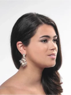 Poirier NC-1338 Boucles D'Oreilles Argent